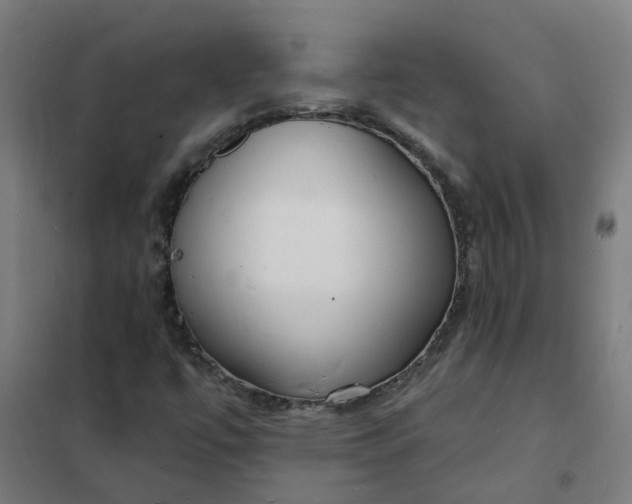 X0000101691447200807241358