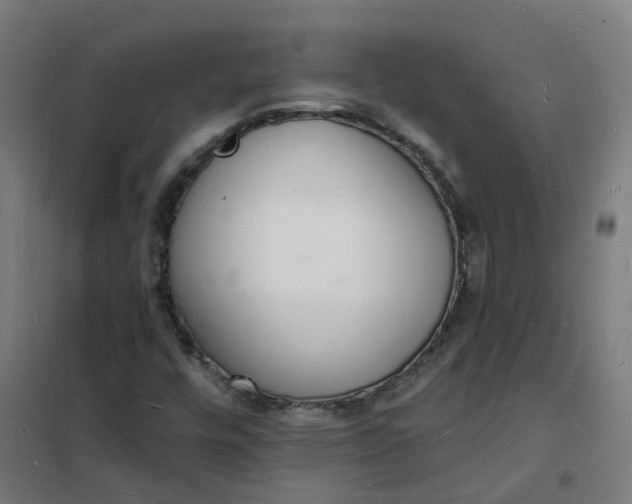 X0000101691448200807241358