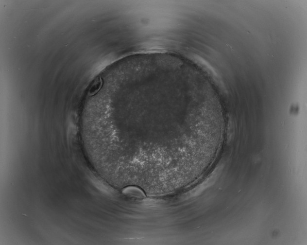 X0000101691449200807241358