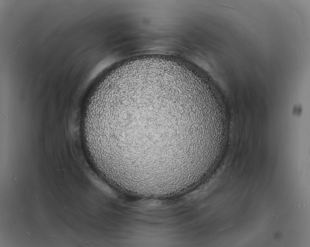 X0000101691450200807241358