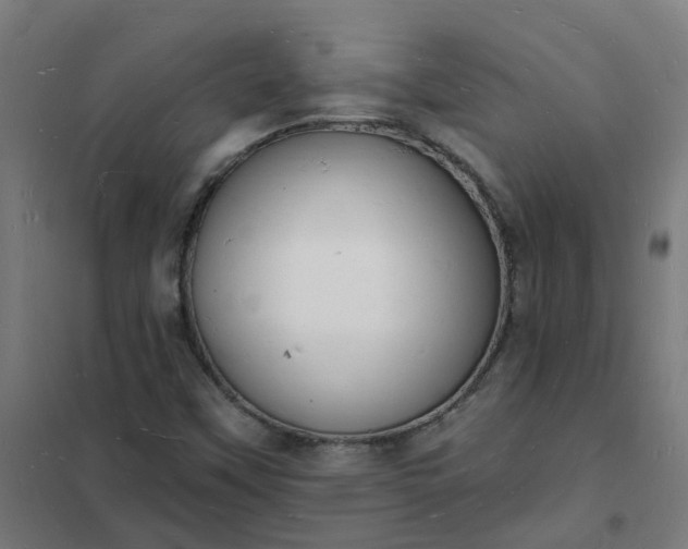 X0000101691451200807241358