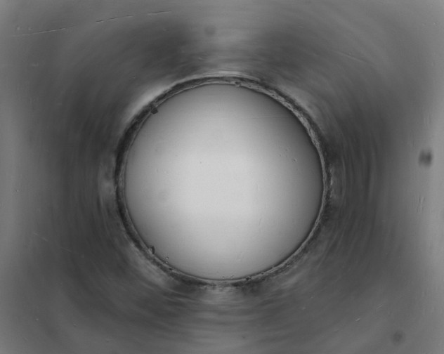 X0000101691452200807241358