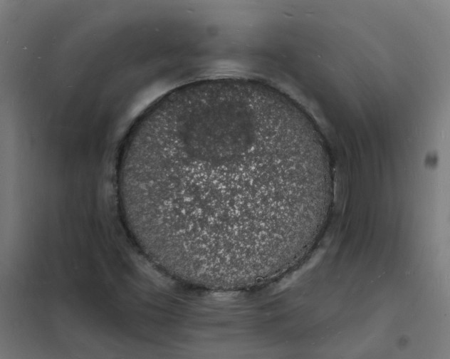 X0000101691453200807241358