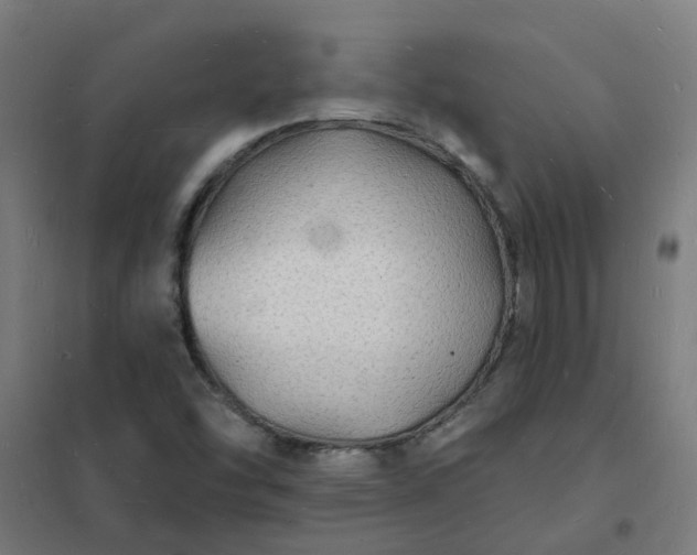 X0000101691454200807241358