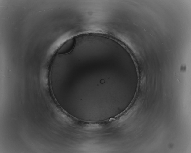 X0000101691455200807241358