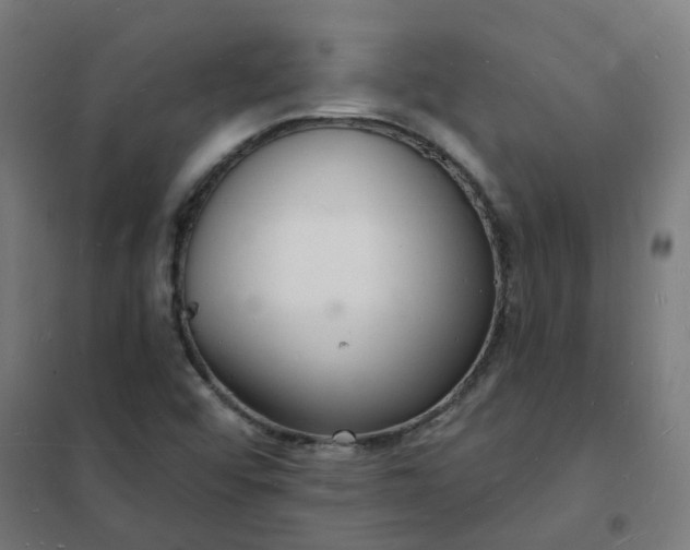 X0000101691456200807241358