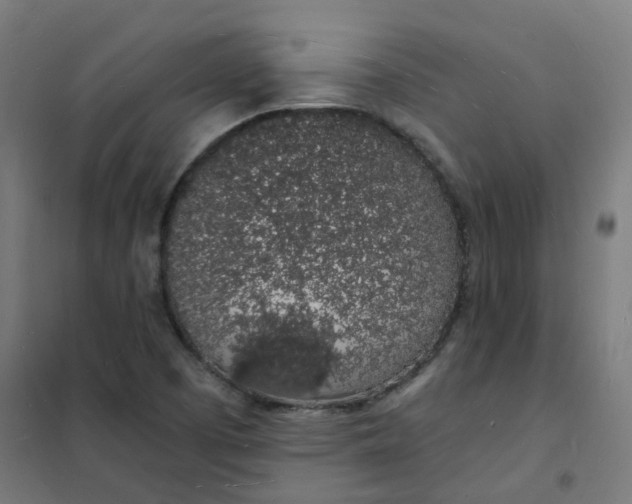 X0000101691457200807241358