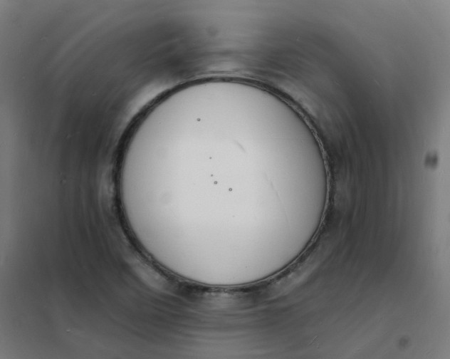 X0000101691458200807241358