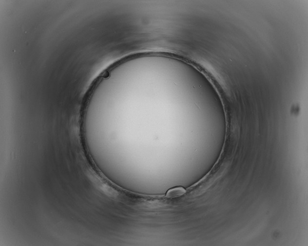 X0000101691460200807241358