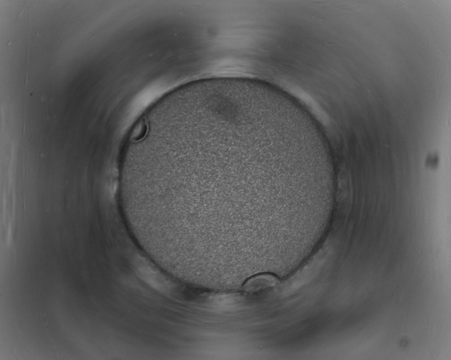 X0000101691461200807241358