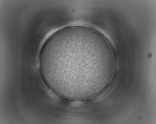 X0000101691462200807241358