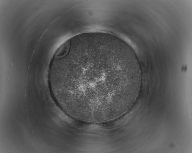 X0000101691463200807241358