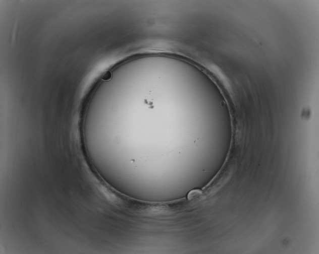 X0000101691464200807241358