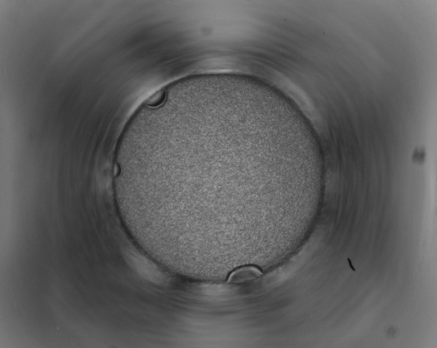 X0000101691465200807241358