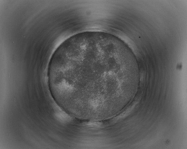 X0000101691466200807241358