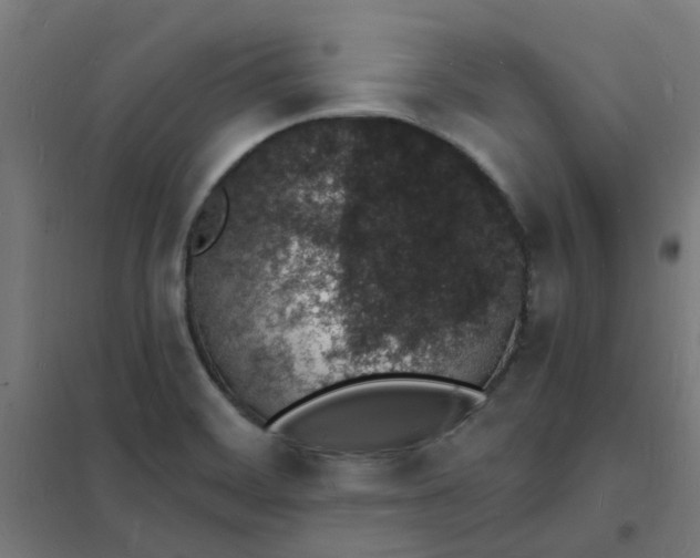 X0000101691468200807241358