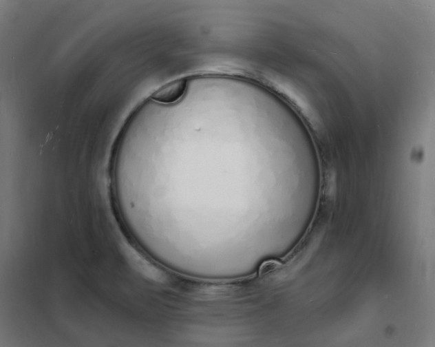 X0000101691471200807241358