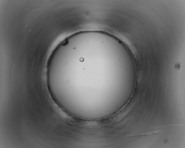 X0000101691472200807241358