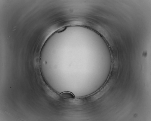 X0000101691473200807241358