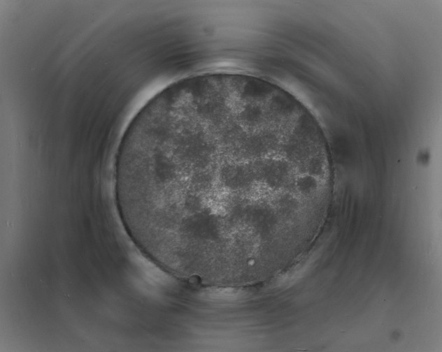 X0000101691474200807241358