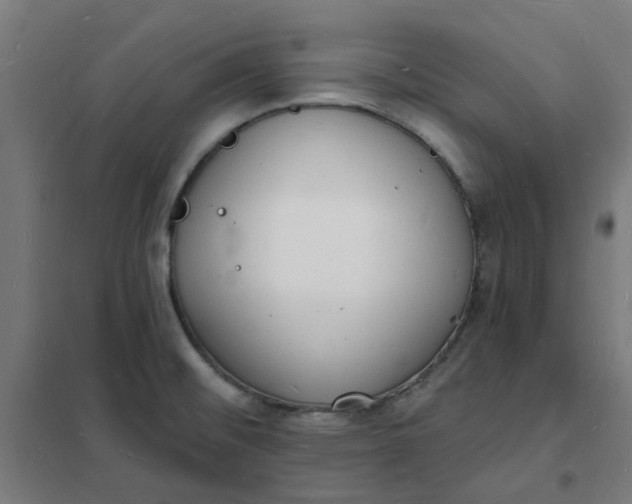 X0000101691476200807241358