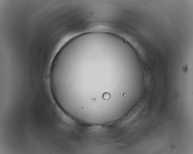 X0000101691478200807241357