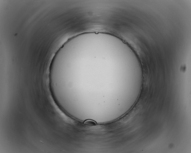 X0000101691479200807241357