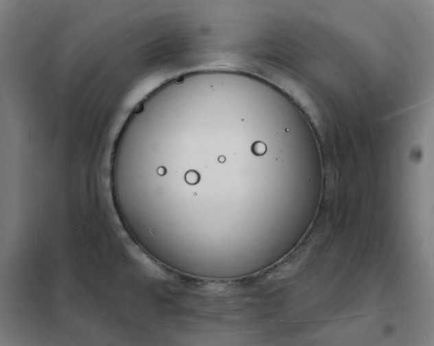 X0000101691480200807241357