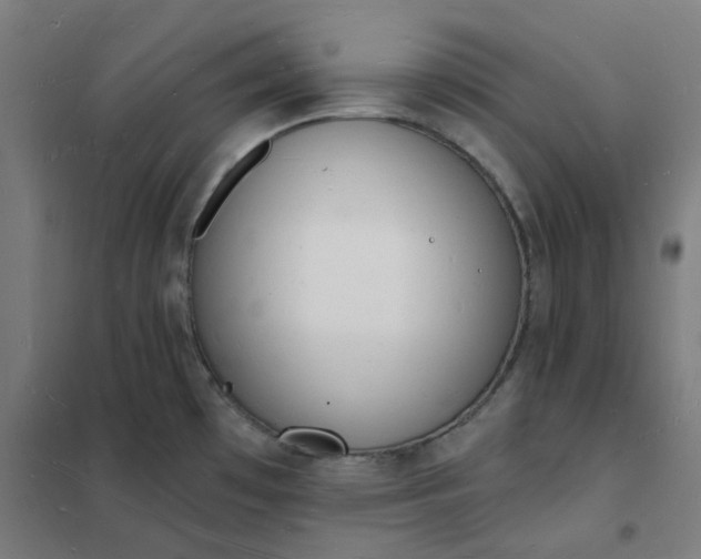 X0000101691481200807241357