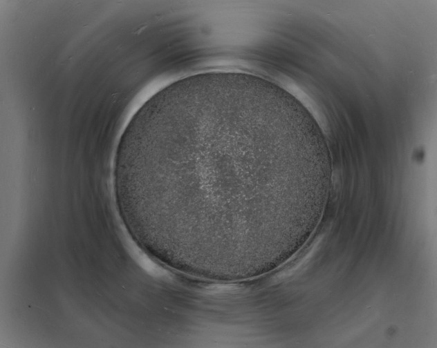 X0000101691482200807241357