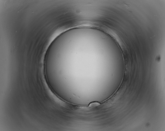 X0000101691483200807241357