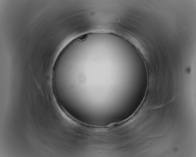 X0000101691484200807241357