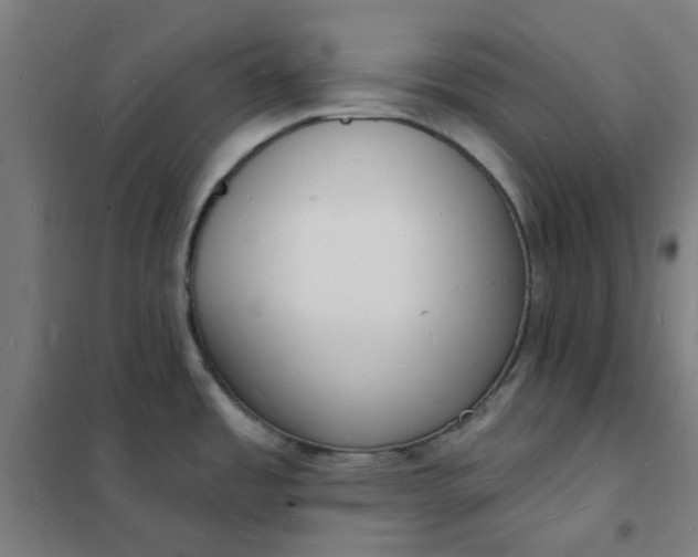 X0000101691485200807241357