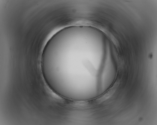 X0000101691486200807241357