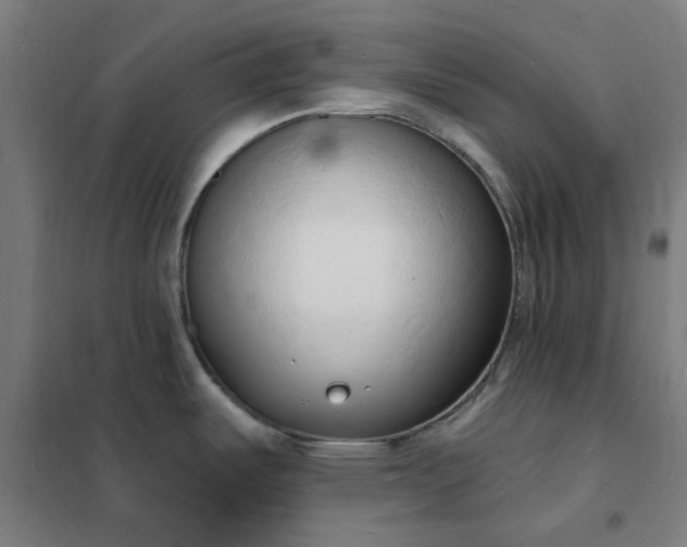 X0000101691487200807241357