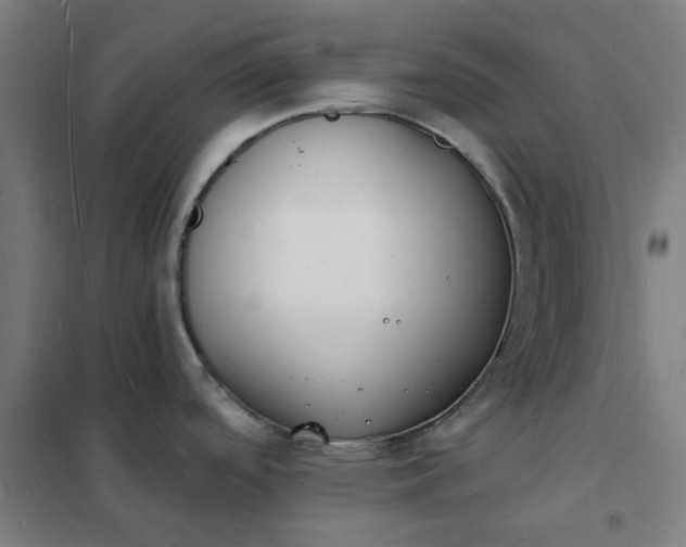 X0000101691488200807241357