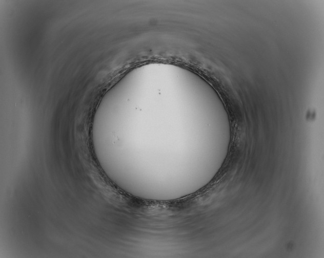 X0000101691489200807241357