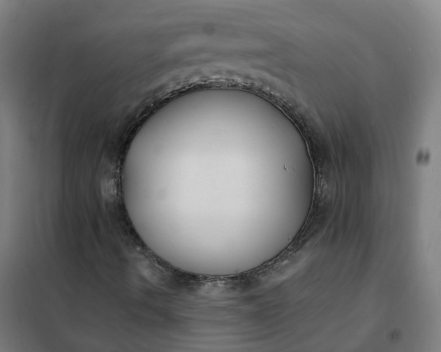 X0000101691490200807241357