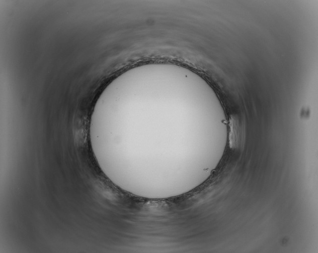 X0000101691491200807241357