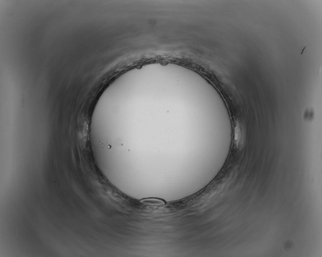 X0000101691492200807241357