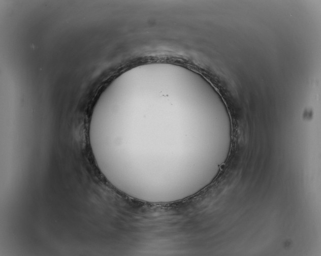 X0000101691493200807241357