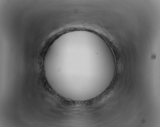 X0000101691494200807241357