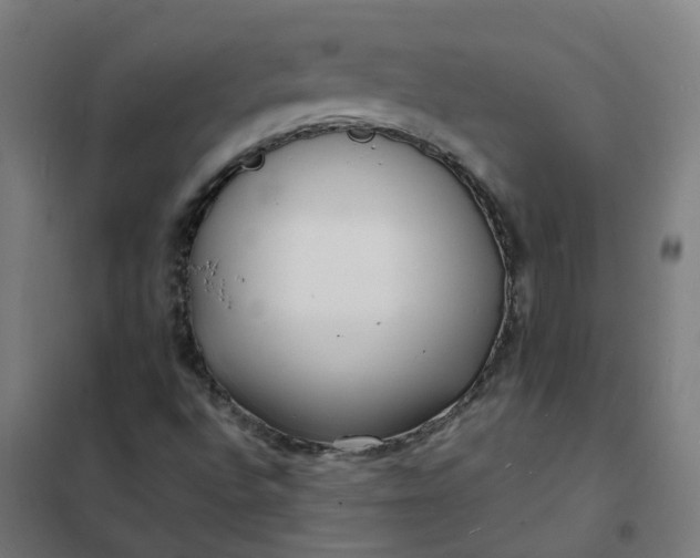 X0000101691496200807241357