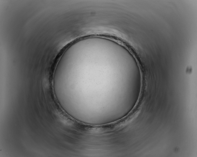 X0000101691497200807241357