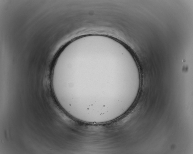 X0000101691498200807241357