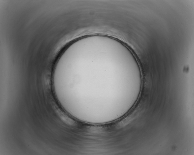 X0000101691499200807241357