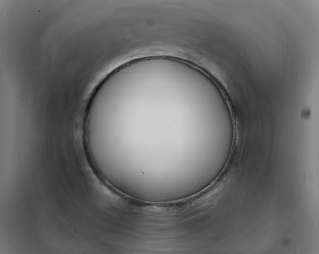 X0000101691500200807241357