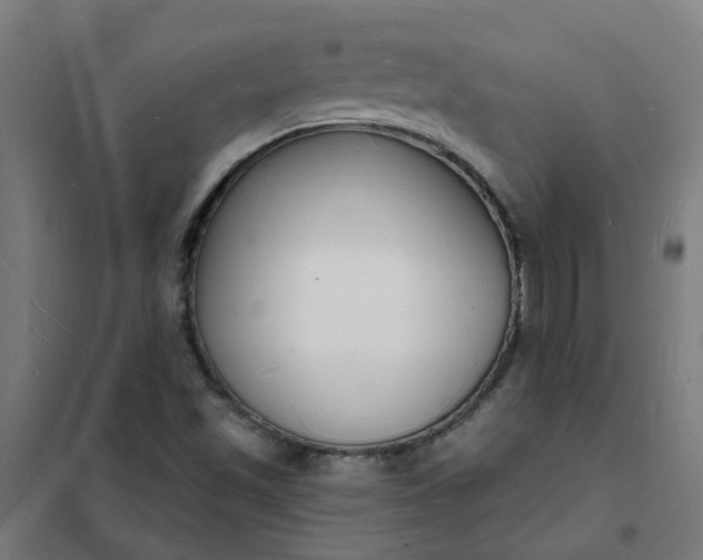 X0000101691501200807241357