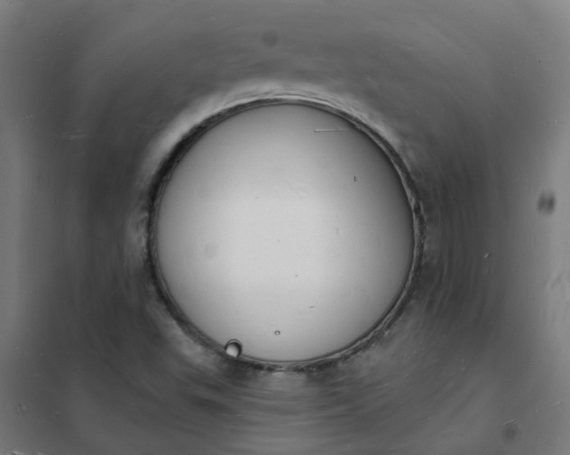 X0000101691503200807241357