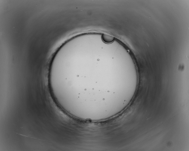 X0000101691504200807241357